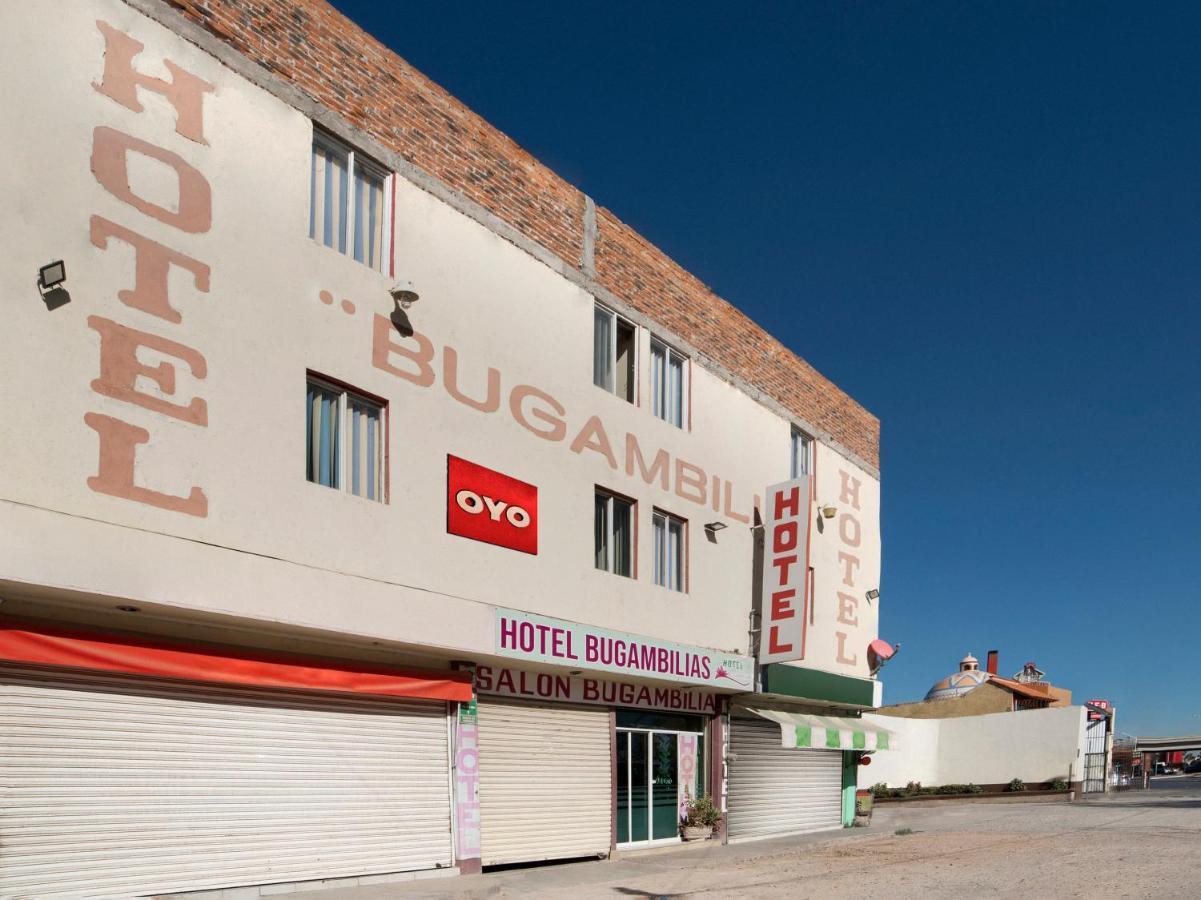 Oyo Hotel Bugambilia, San Luis Potosi Bagian luar foto